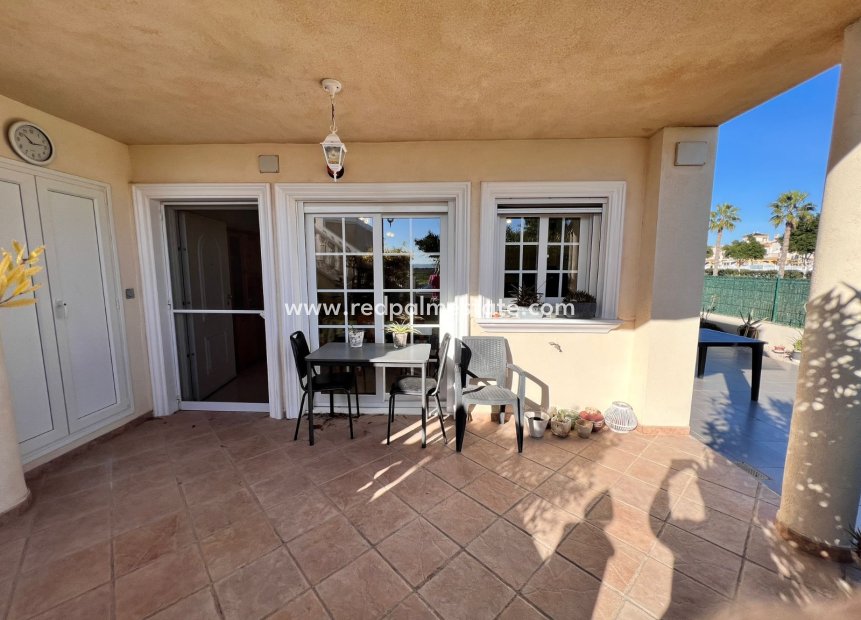 Reventa - Apartmentos -
Guardamar del Segura - Guardamar