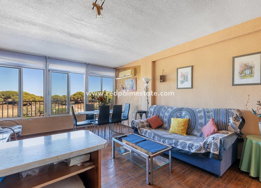 Reventa - Apartmentos -
Guardamar del Segura - Guardamar