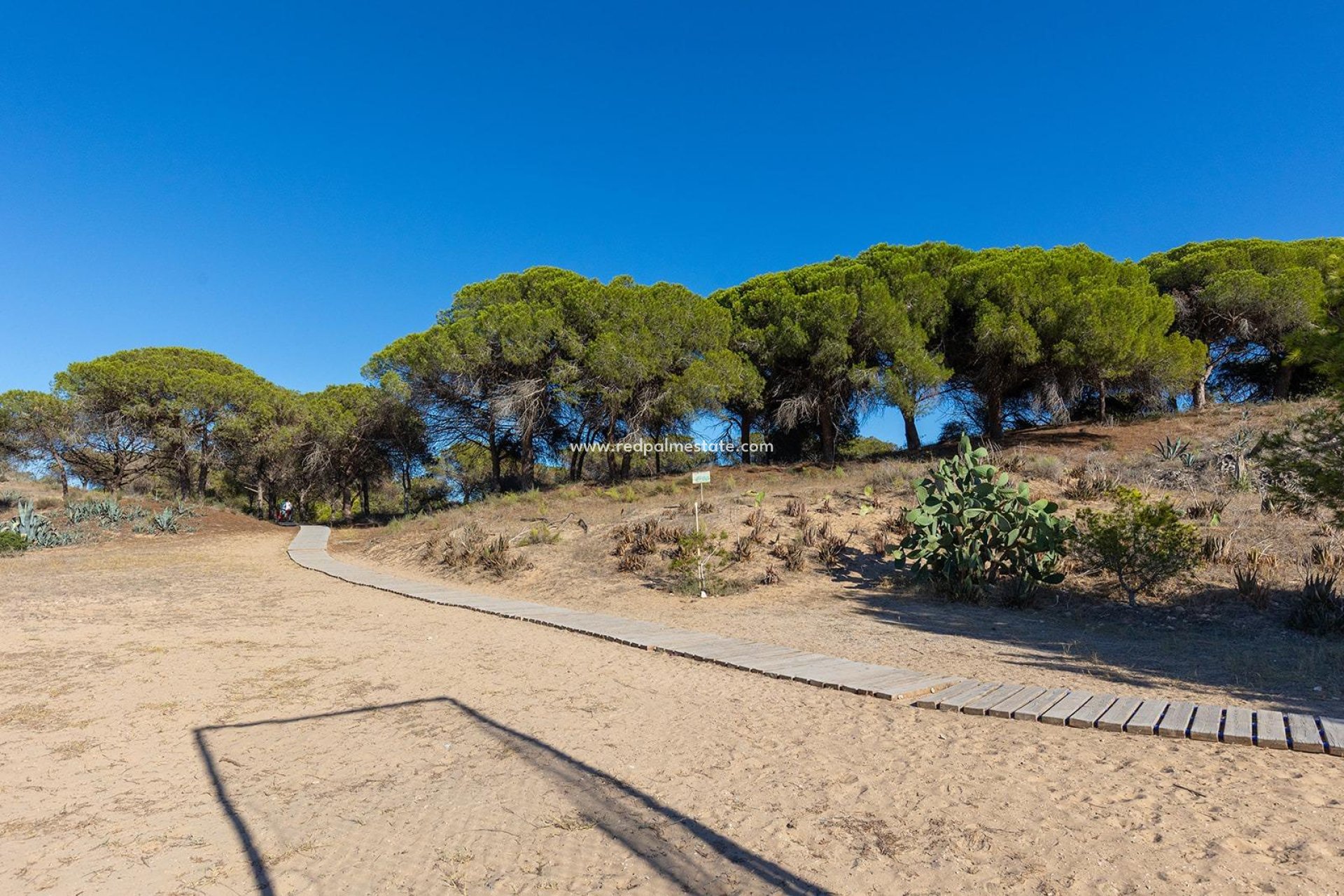 Reventa - Apartmentos -
Guardamar del Segura - Guardamar