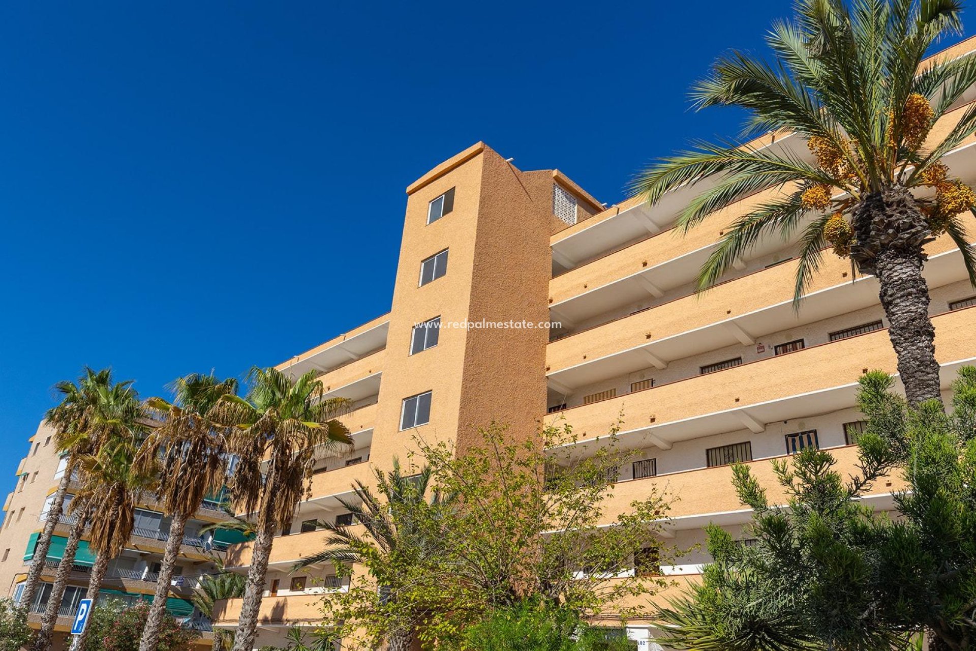 Reventa - Apartmentos -
Guardamar del Segura - Guardamar