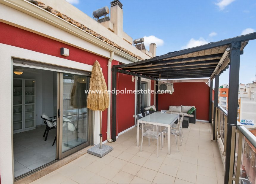 Reventa - Apartmentos -
Guardamar del Segura - Guardamar