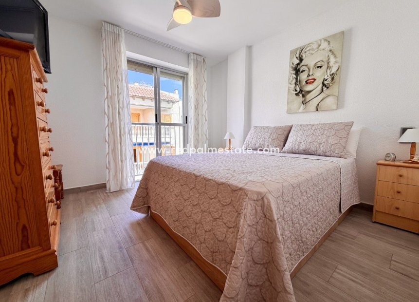 Reventa - Apartmentos -
Guardamar del Segura - Guardamar