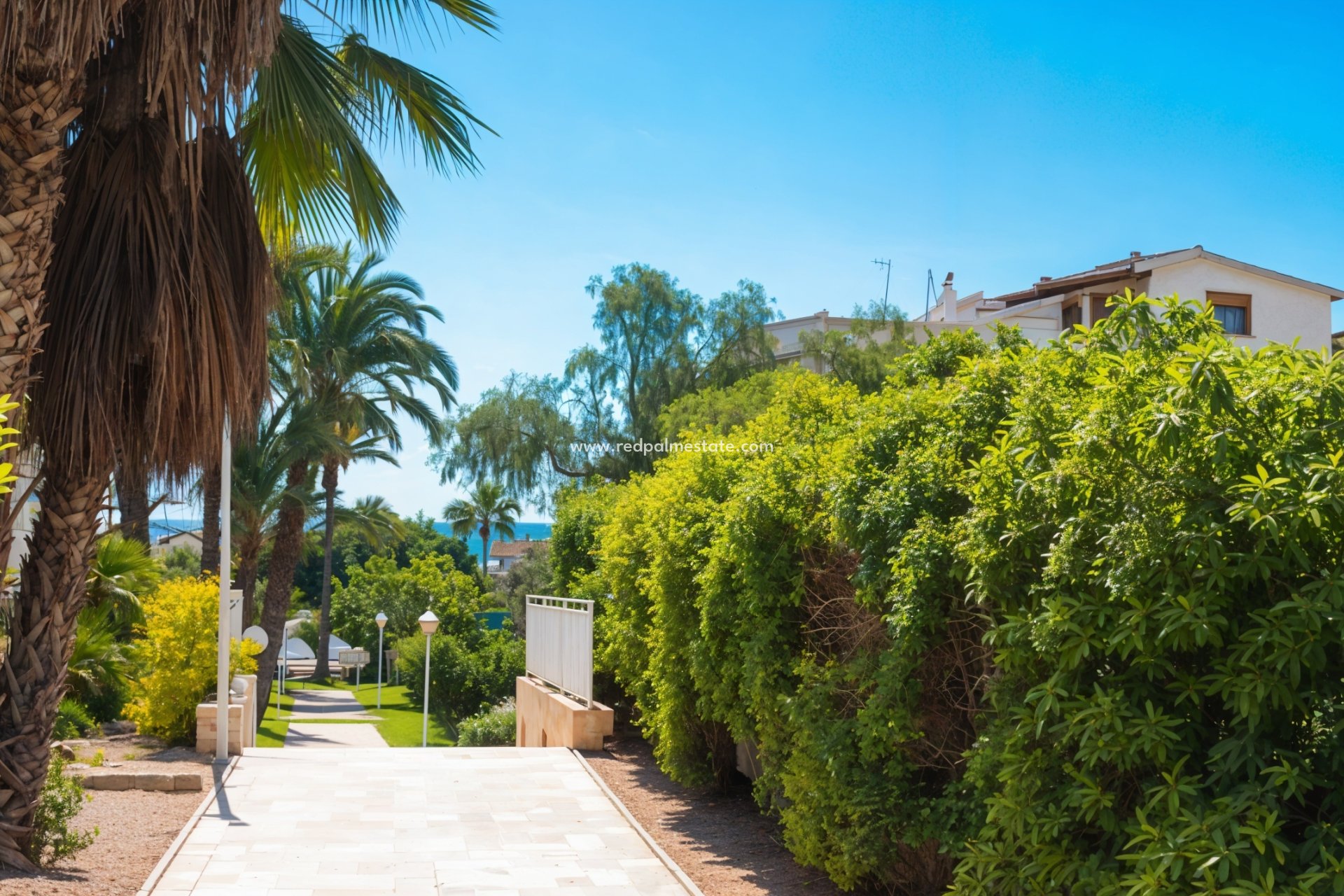 Reventa - Apartmentos -
Guardamar del Segura - Guardamar