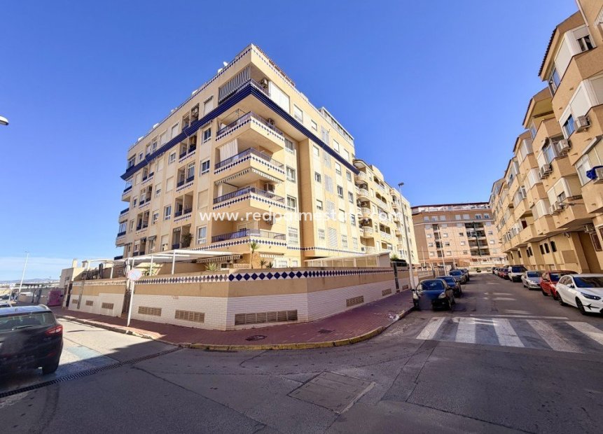 Reventa - Apartmentos -
Guardamar del Segura - Guardamar