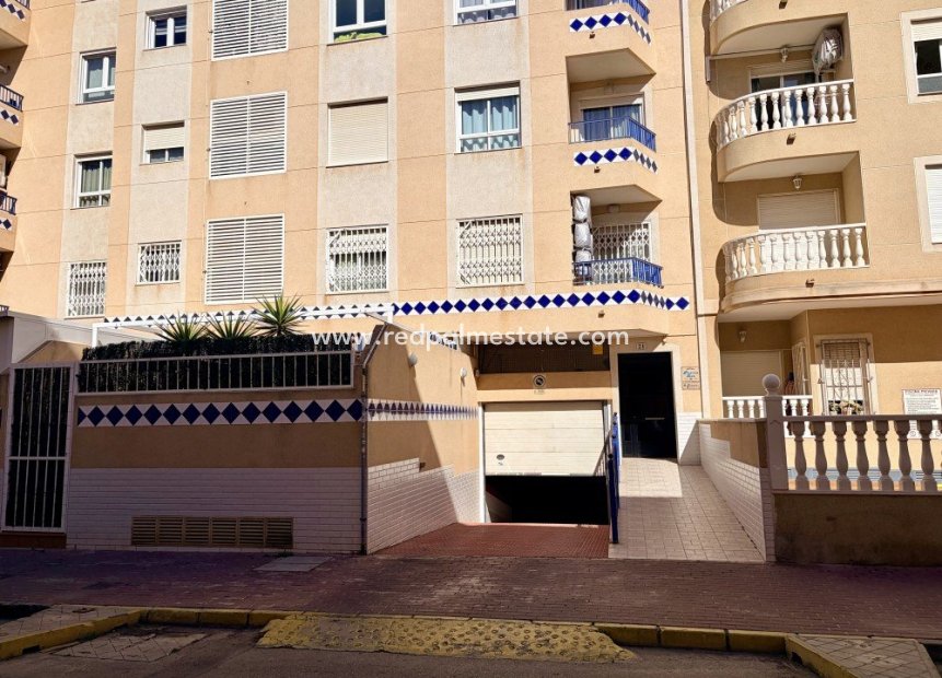 Reventa - Apartmentos -
Guardamar del Segura - Guardamar