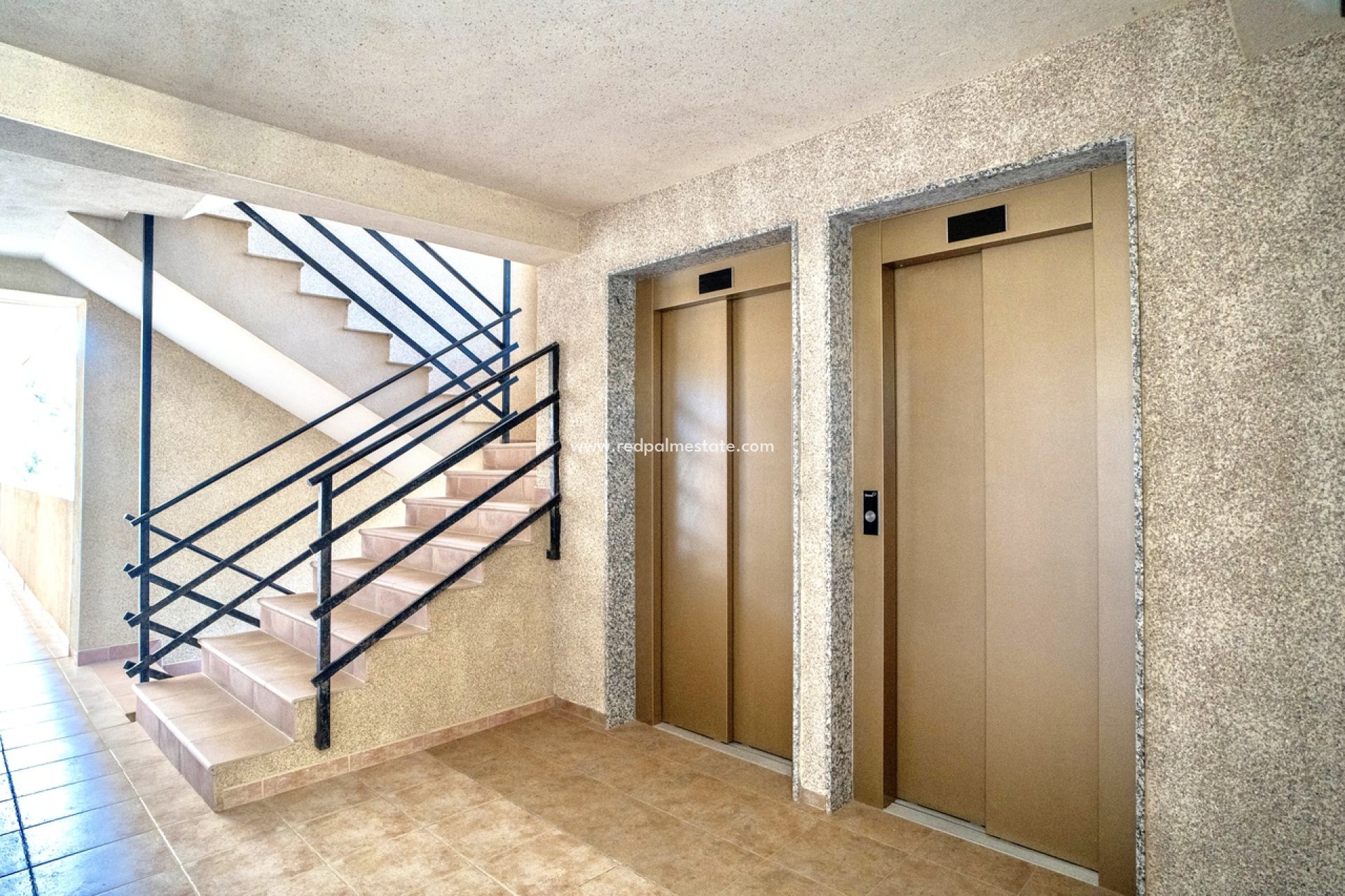 Reventa - Apartmentos -
Guardamar del Segura - Guardamar