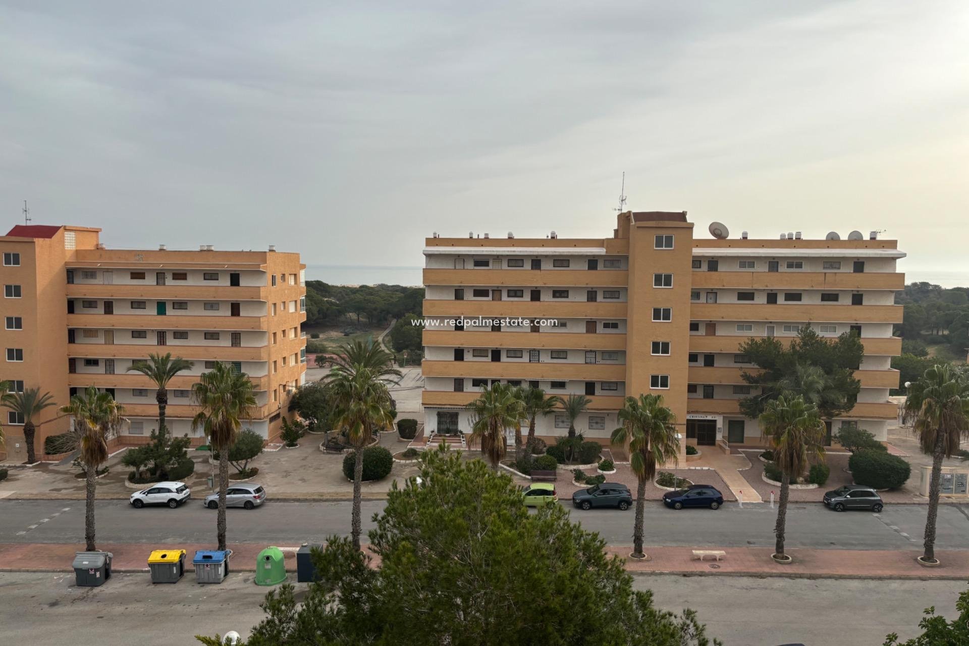 Reventa - Apartmentos -
Guardamar del Segura - Pinomar