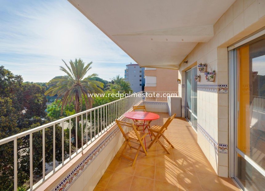 Reventa - Apartmentos -
Guardamar del Segura - Pinomar