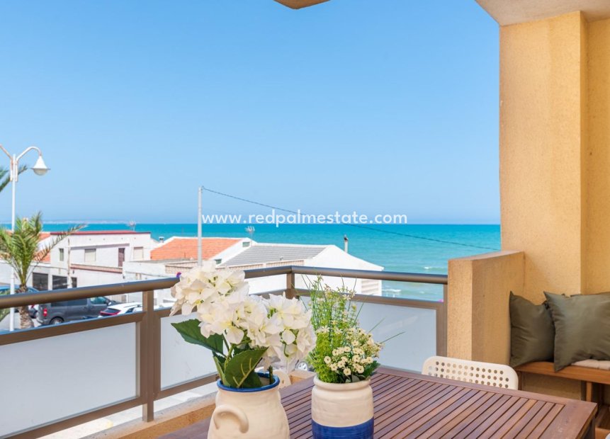 Reventa - Apartmentos -
Guardamar del Segura - Pueblo