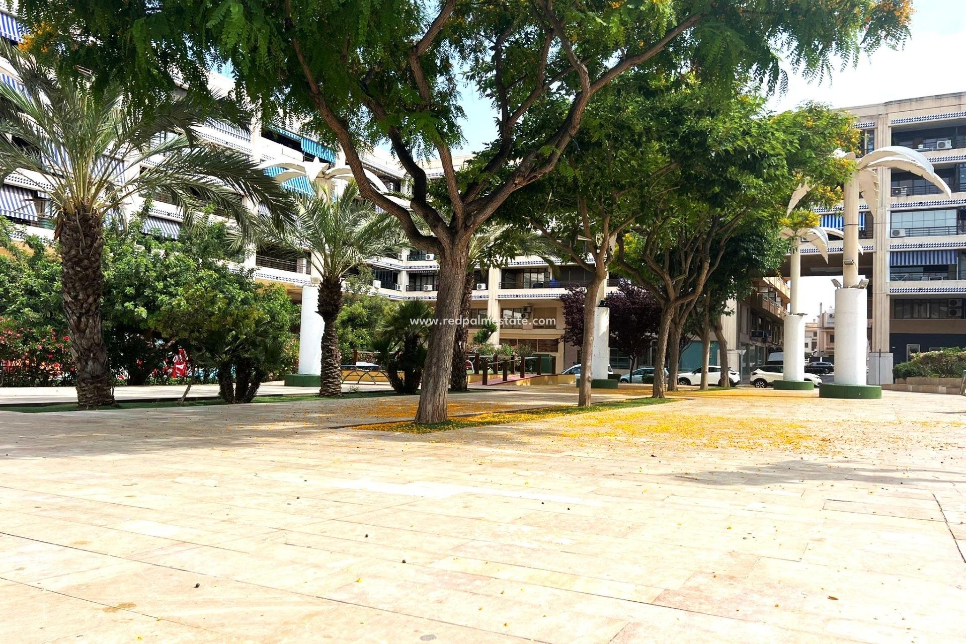 Reventa - Apartmentos -
Guardamar del Segura - Pueblo