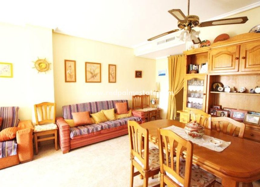 Reventa - Apartmentos -
Guardamar del Segura - Pueblo