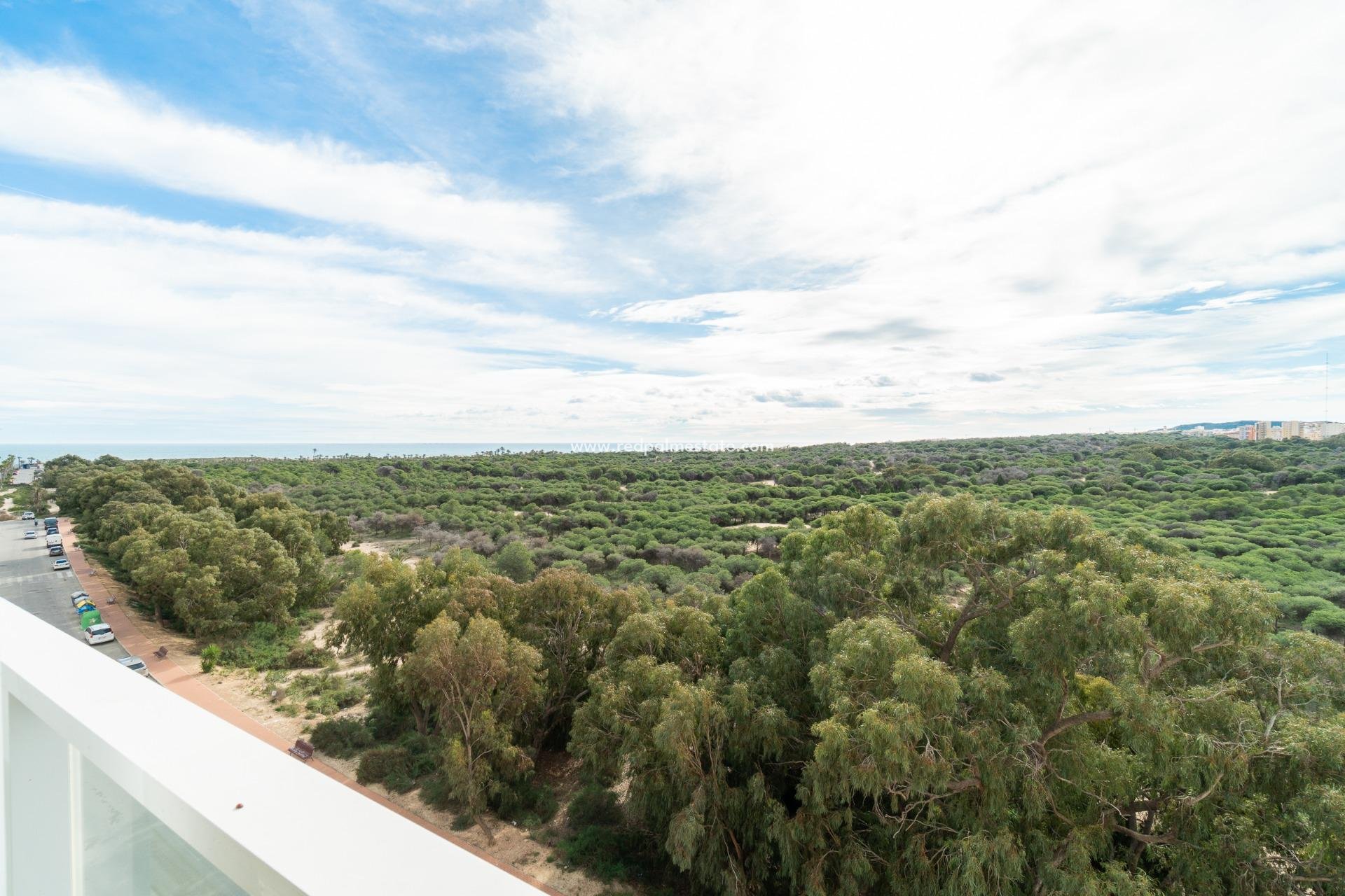 Reventa - Apartmentos -
Guardamar del Segura - Puerto Deportivo