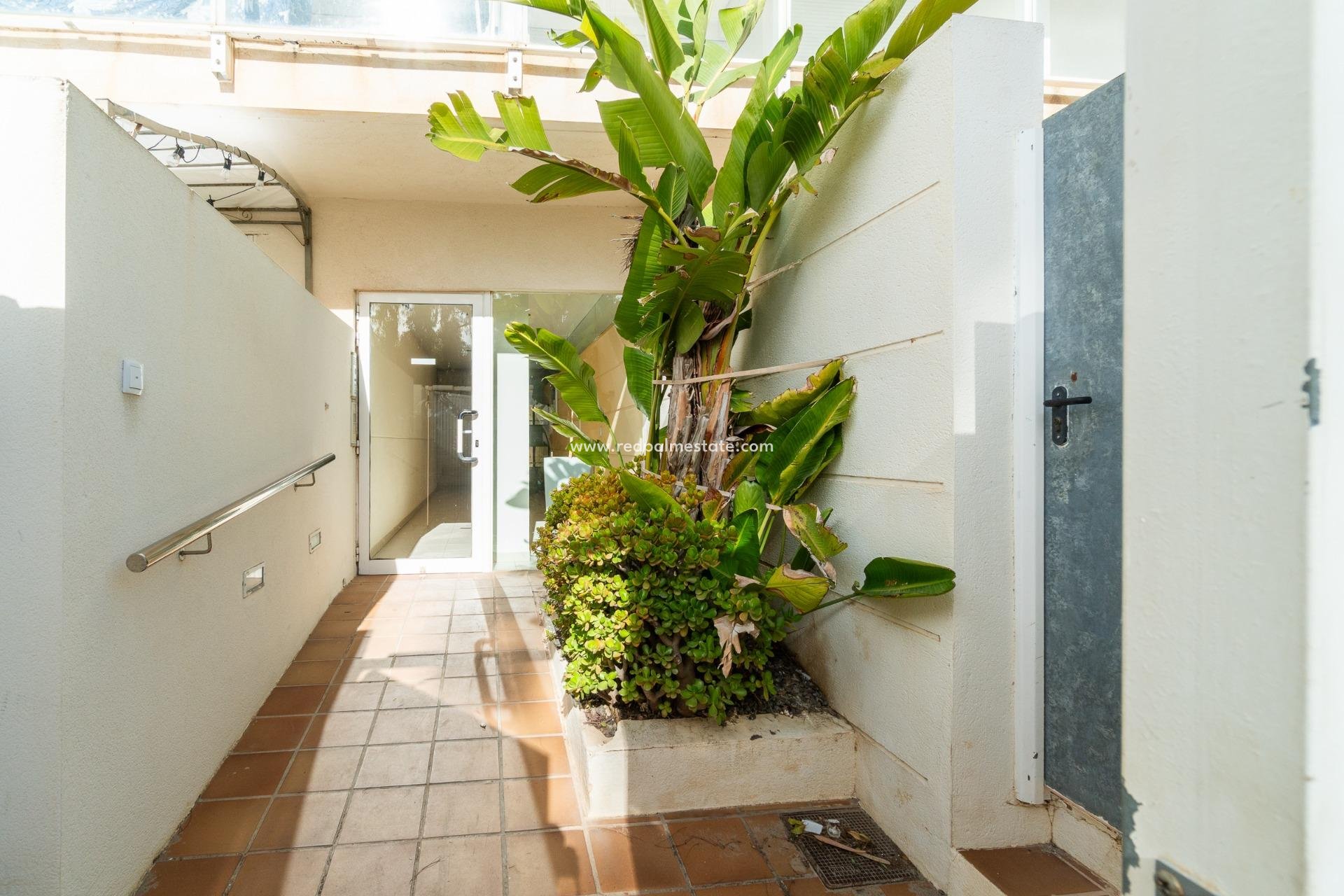 Reventa - Apartmentos -
Guardamar del Segura - Puerto Deportivo