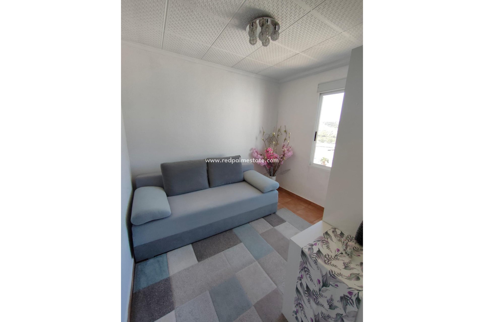 Reventa - Apartmentos -
Guardamar del Segura - Zona Pueblo