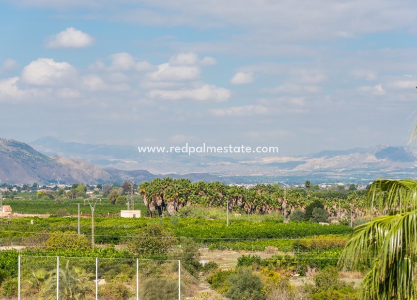 Reventa - Apartmentos -
Jacarilla - Inland