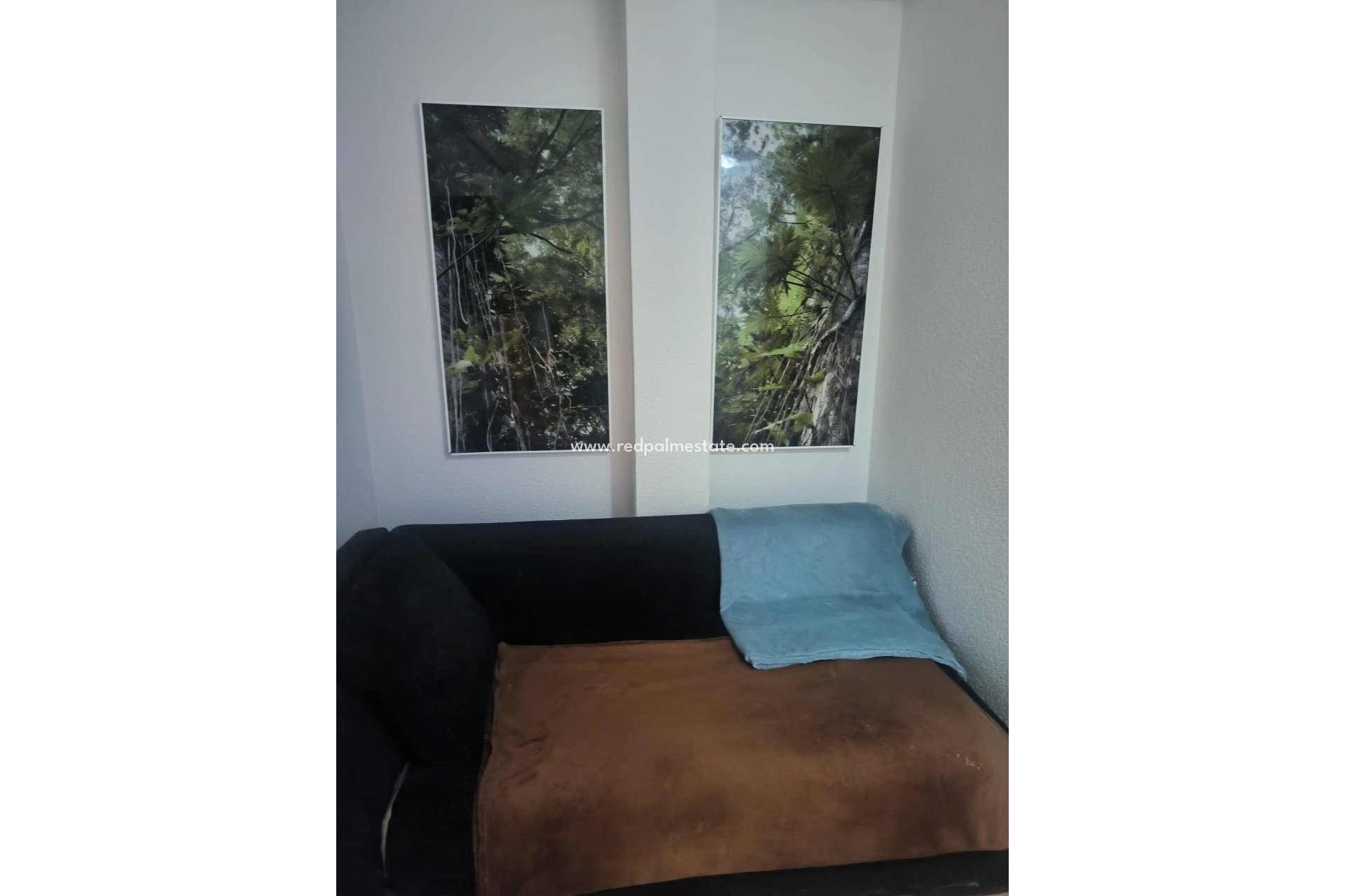 Reventa - Apartmentos -
Lo Pagan - La Puntica