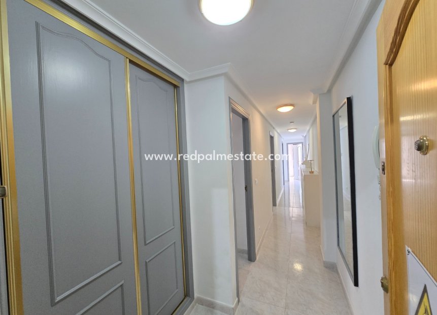 Reventa - Apartmentos -
Montesinos - Los Montesinos