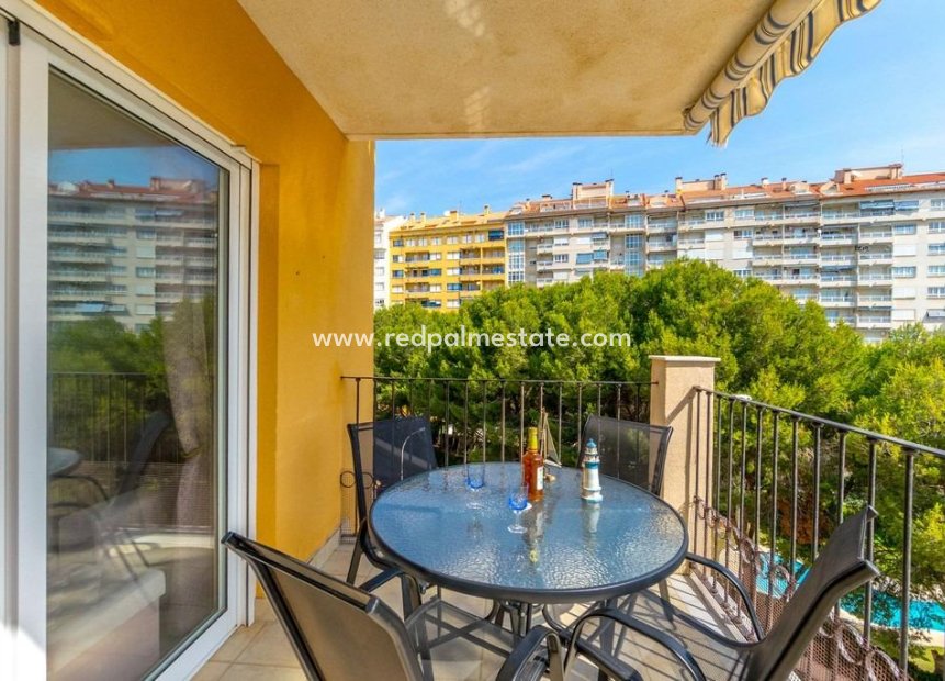 Reventa - Apartmentos -
Orihuela Costa - Campoamor