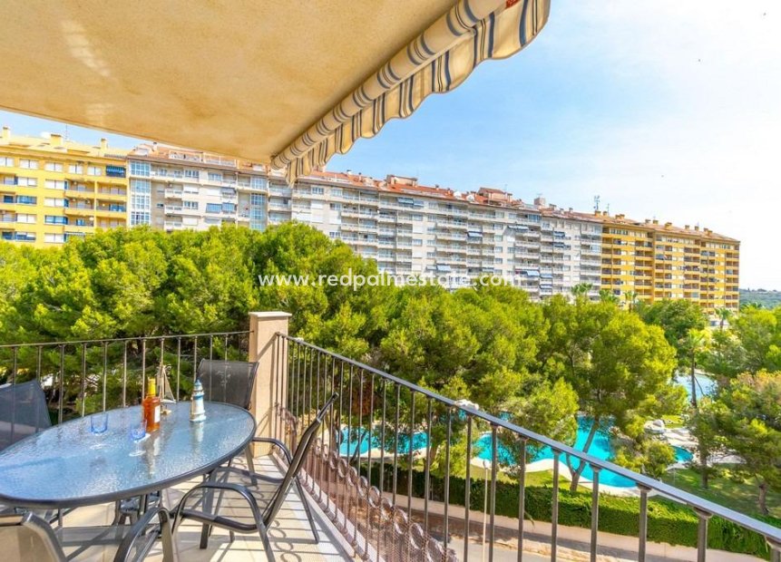 Reventa - Apartmentos -
Orihuela Costa - Campoamor