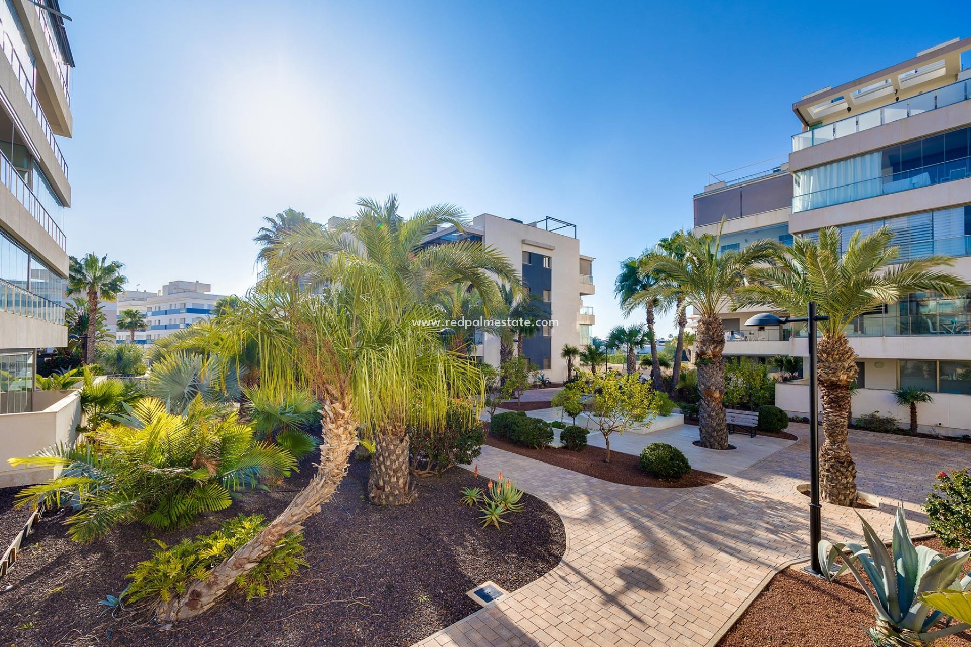 Reventa - Apartmentos -
Orihuela Costa - Costa Blanca