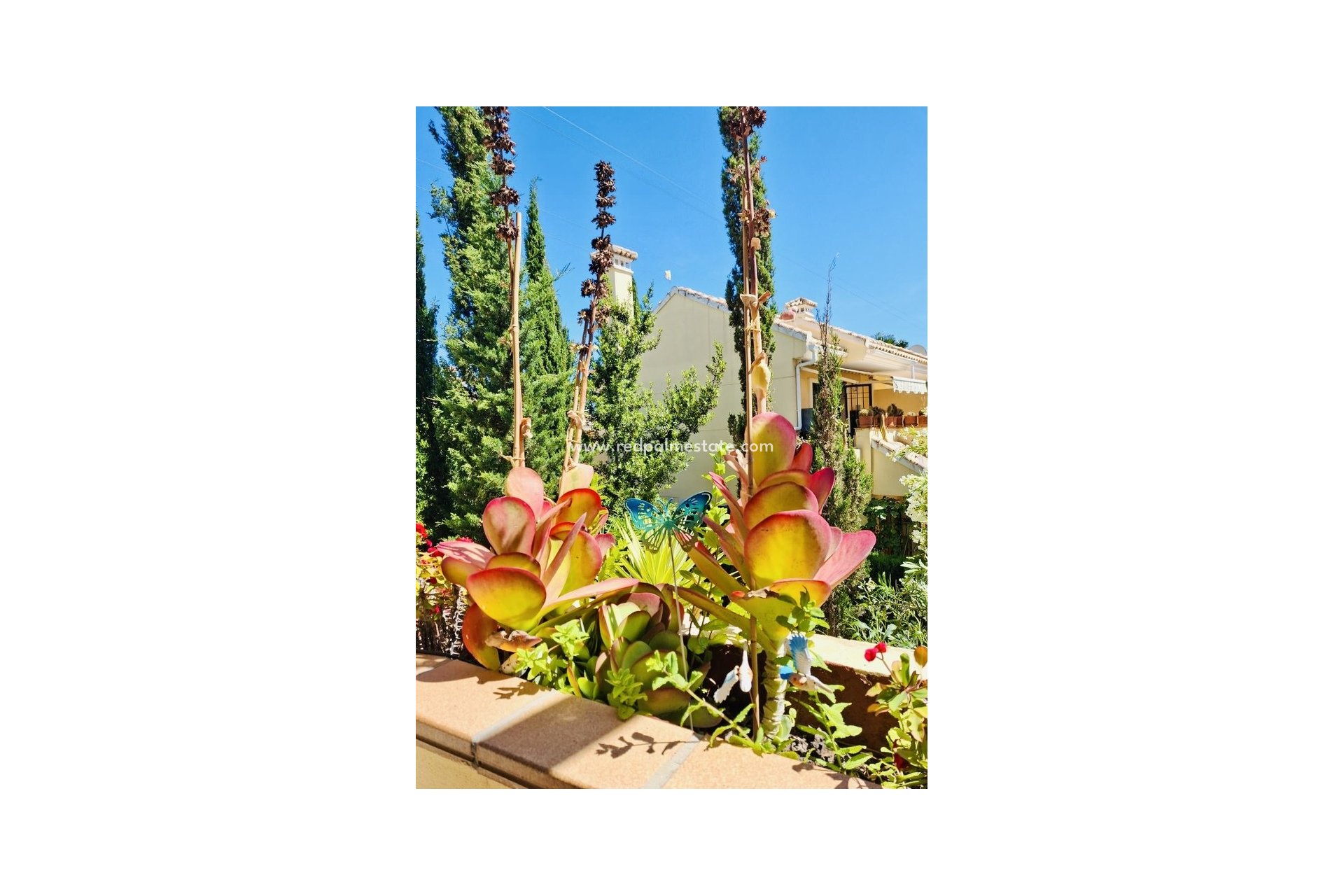 Reventa - Apartmentos -
Orihuela Costa - Costa Blanca