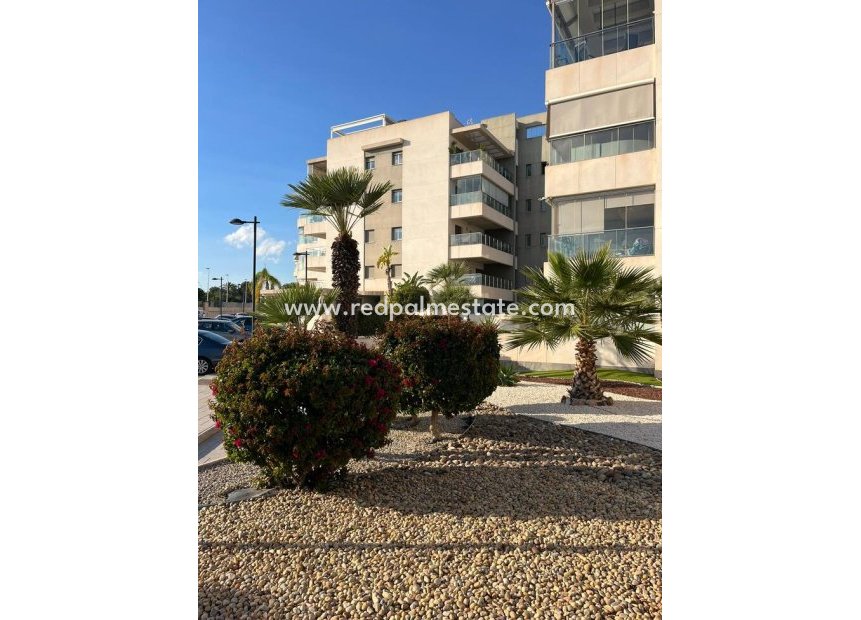 Reventa - Apartmentos -
Orihuela Costa - Inland
