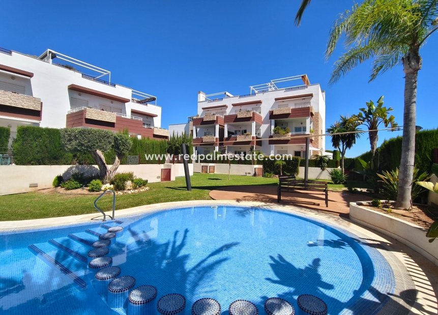 Reventa - Apartmentos -
Orihuela Costa - La Ciñuelica