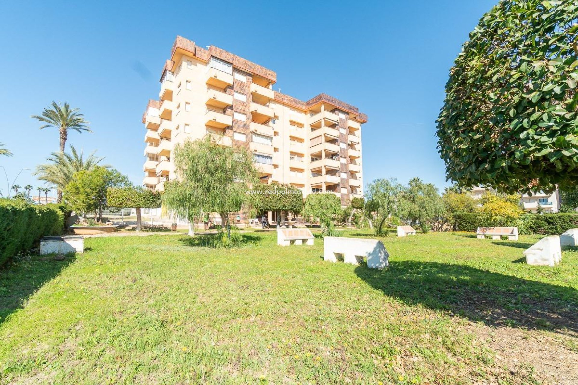 Reventa - Apartmentos -
Orihuela Costa - La Zenia