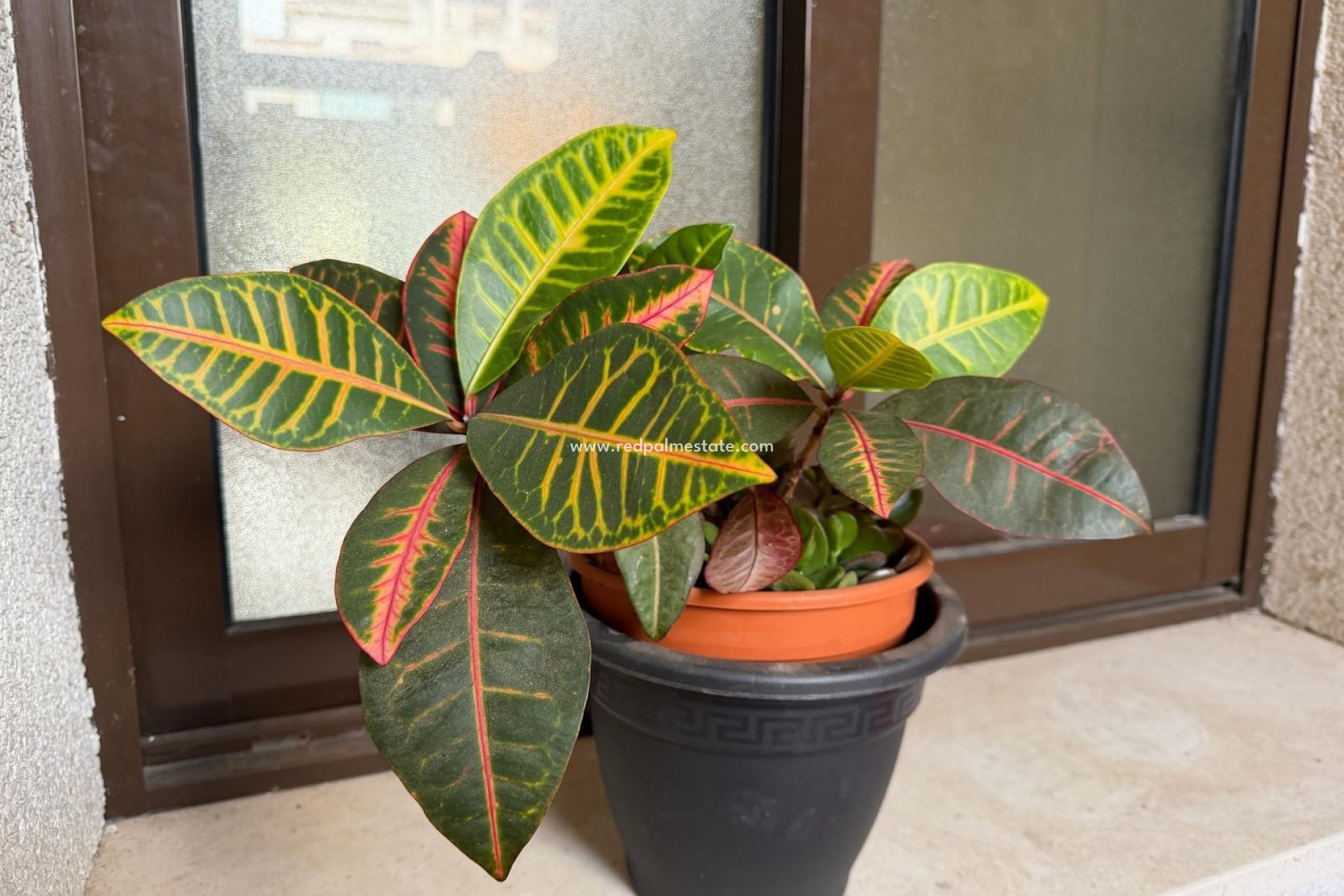 Reventa - Apartmentos -
Orihuela Costa - Las Ramblas