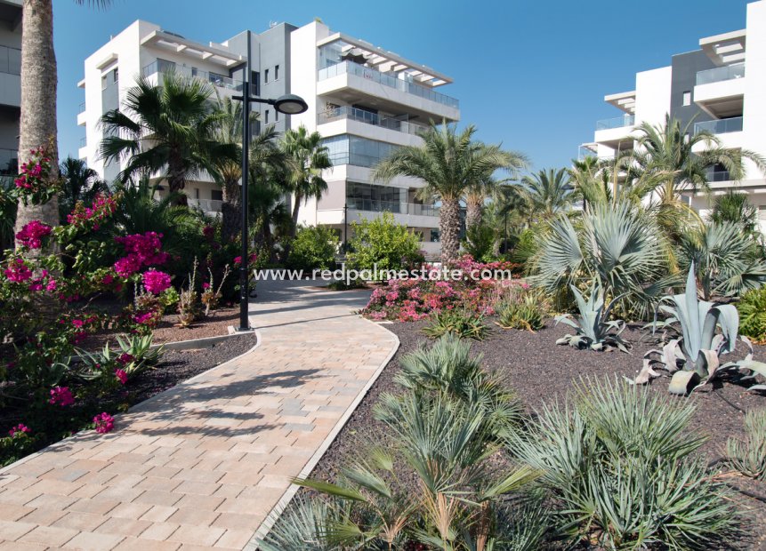 Reventa - Apartmentos -
Orihuela Costa - Los Dolses