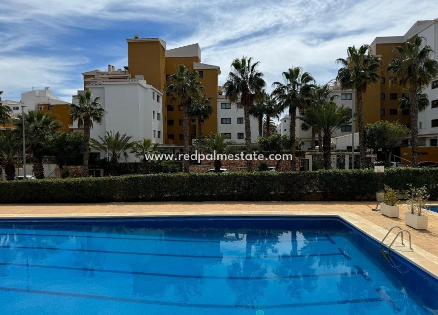 Reventa - Apartmentos -
Orihuela Costa - Punta prima