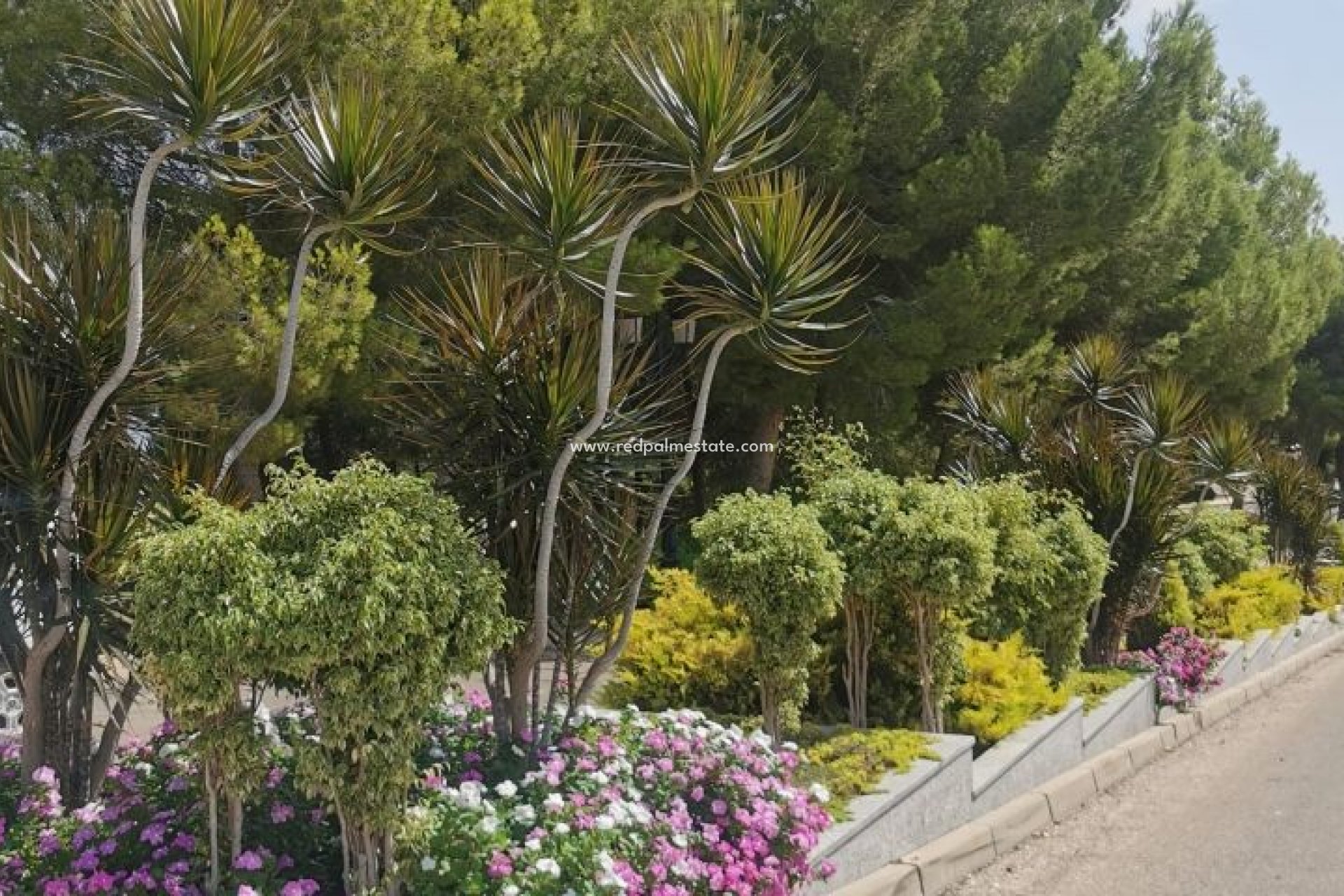 Reventa - Apartmentos -
Orihuela Costa