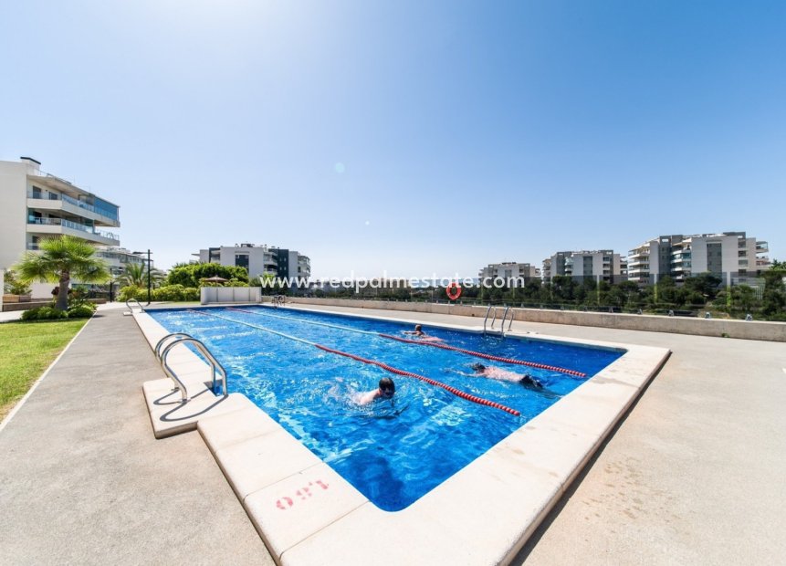 Reventa - Apartmentos -
Orihuela Costa