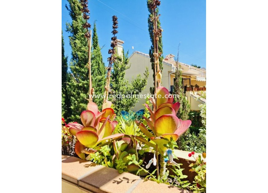 Reventa - Apartmentos -
Orihuela Costa