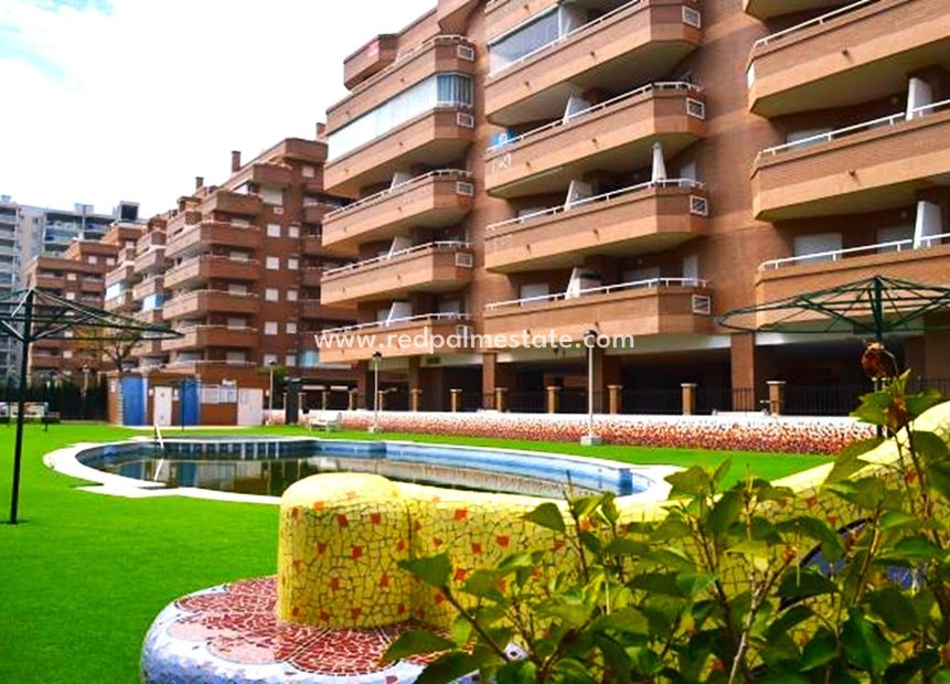 Reventa - Apartmentos -
Oropesa Del Mar - Oropesa del Mar