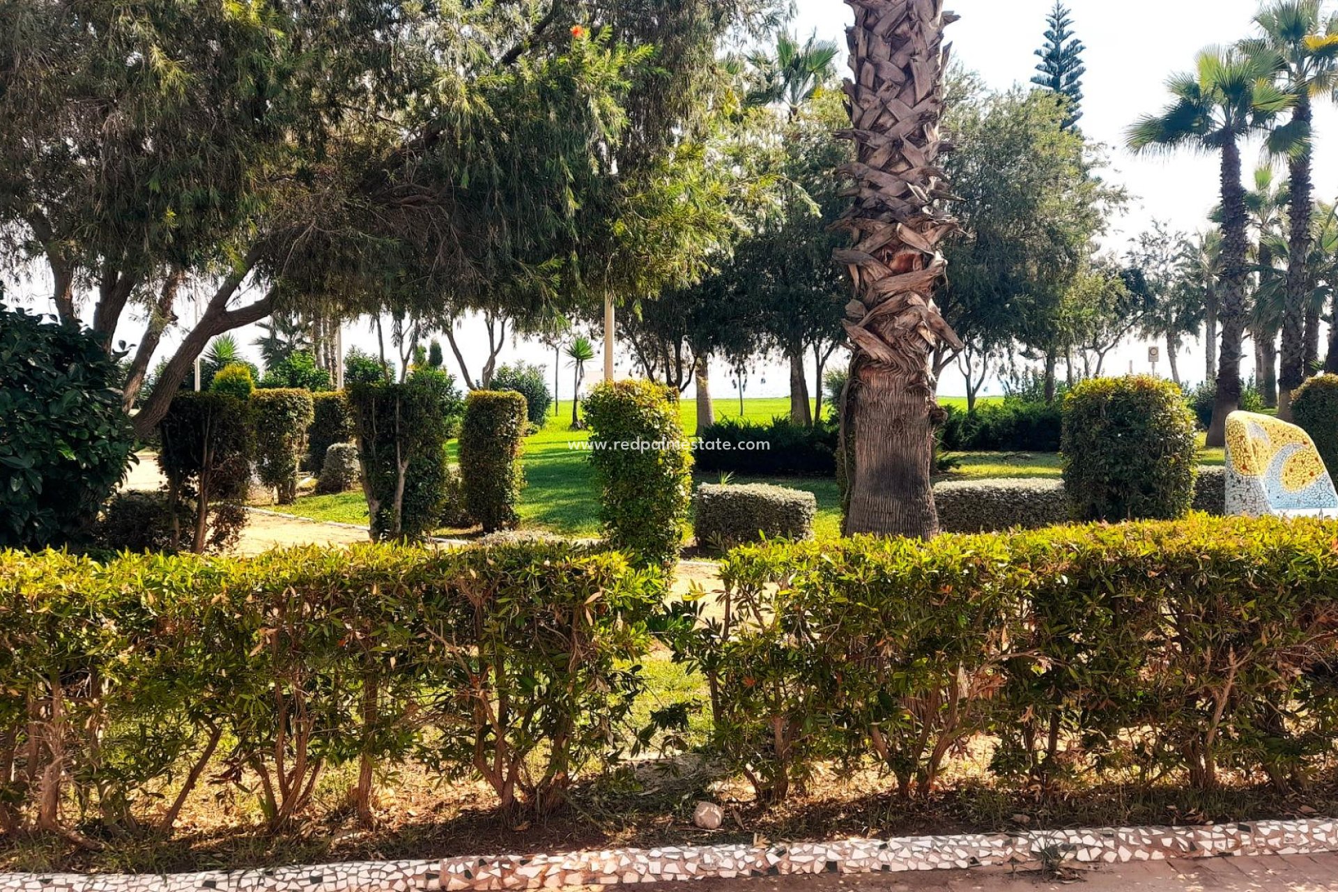 Reventa - Apartmentos -
Oropesa Del Mar - Oropesa del Mar