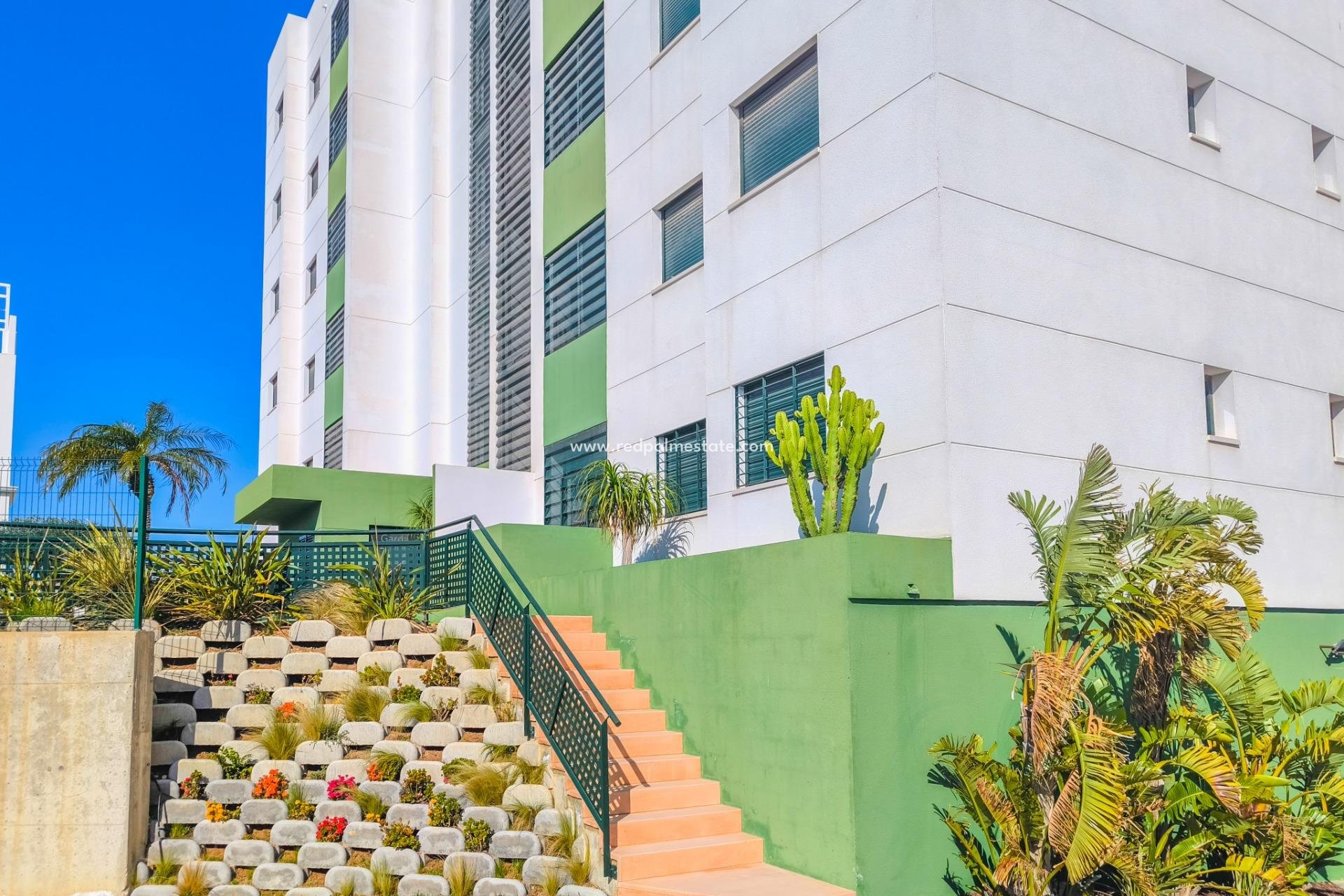 Reventa - Apartmentos -
Pilar de la Horadada - Mil Palmeras