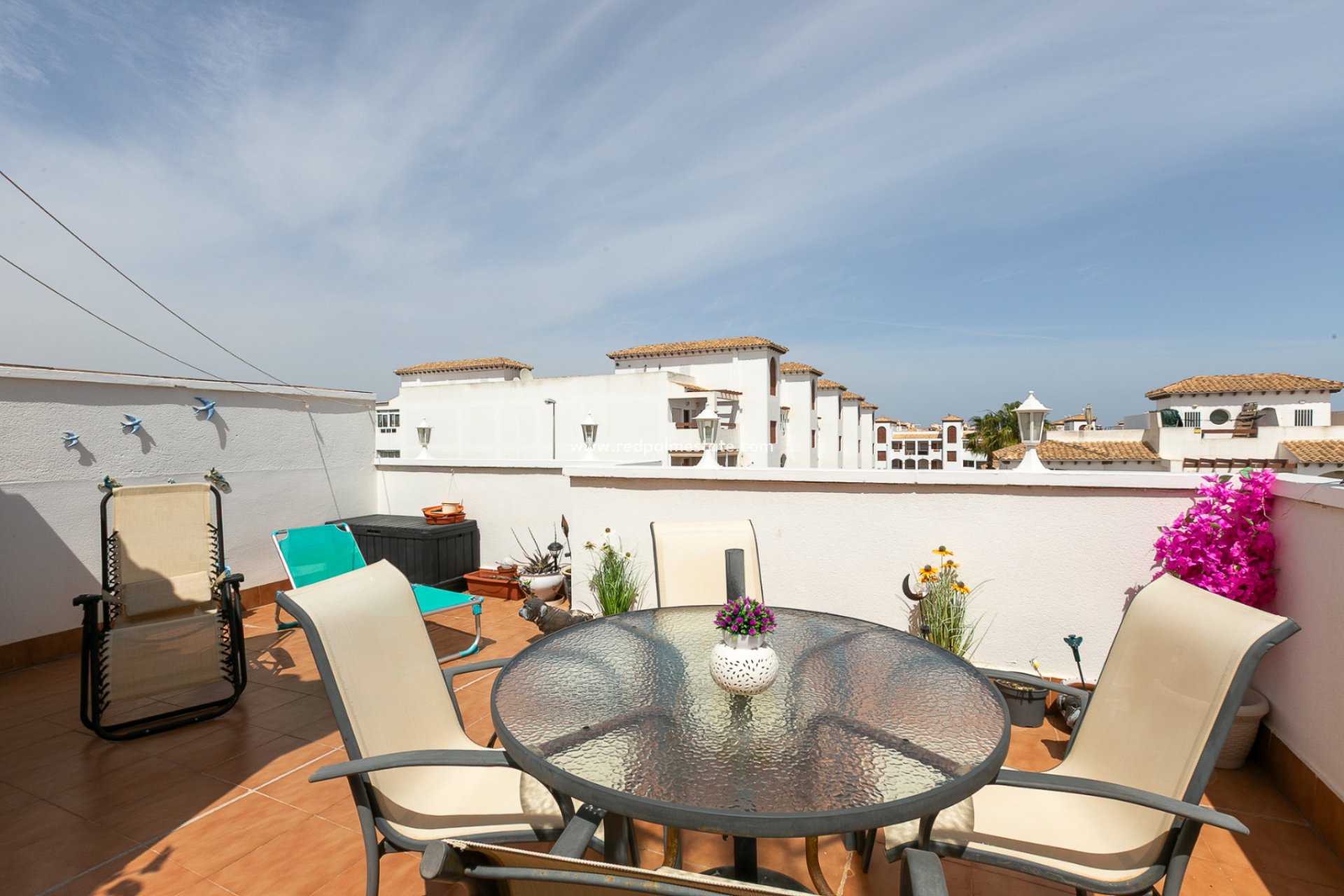 Reventa - Apartmentos -
Playa Flamenca - Zenia Mar