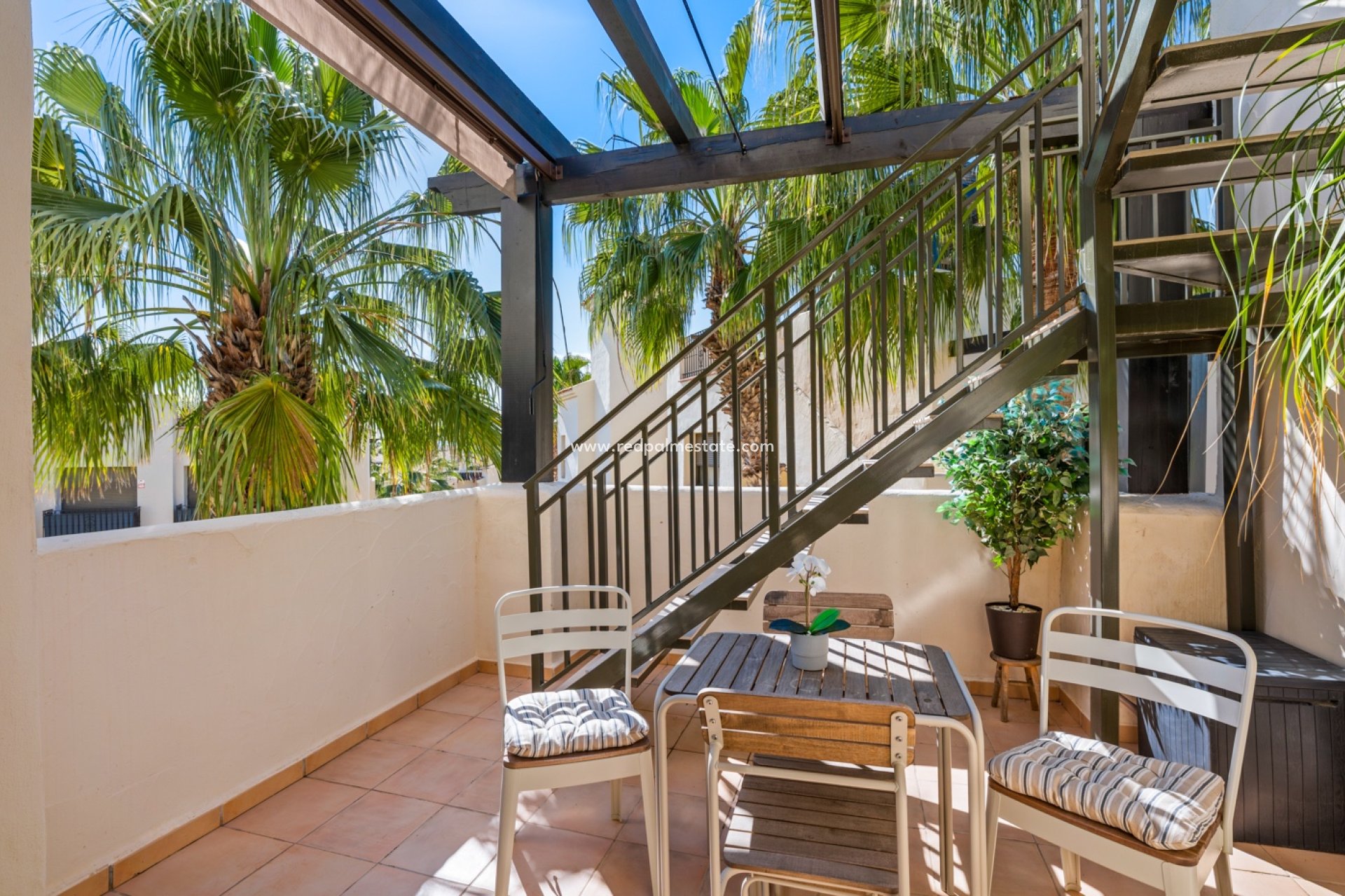 Reventa - Apartmentos -
San Javier - Roda