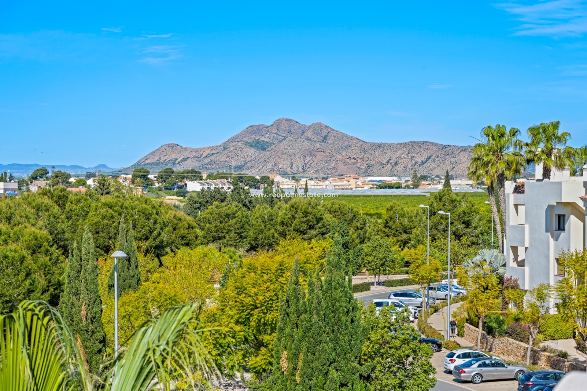 Reventa - Apartmentos -
San Javier - Roda