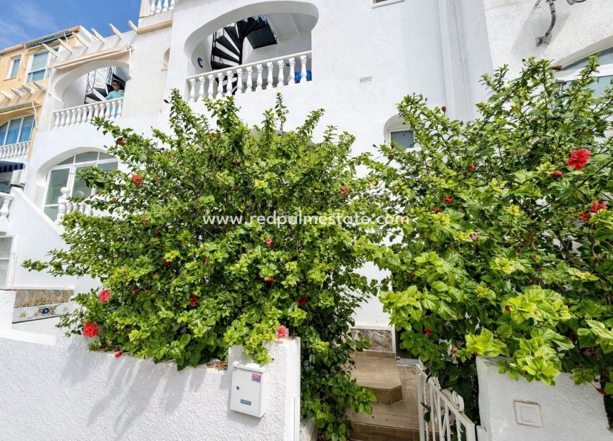 Reventa - Apartmentos -
San Miguel de Salinas - Las filipinas