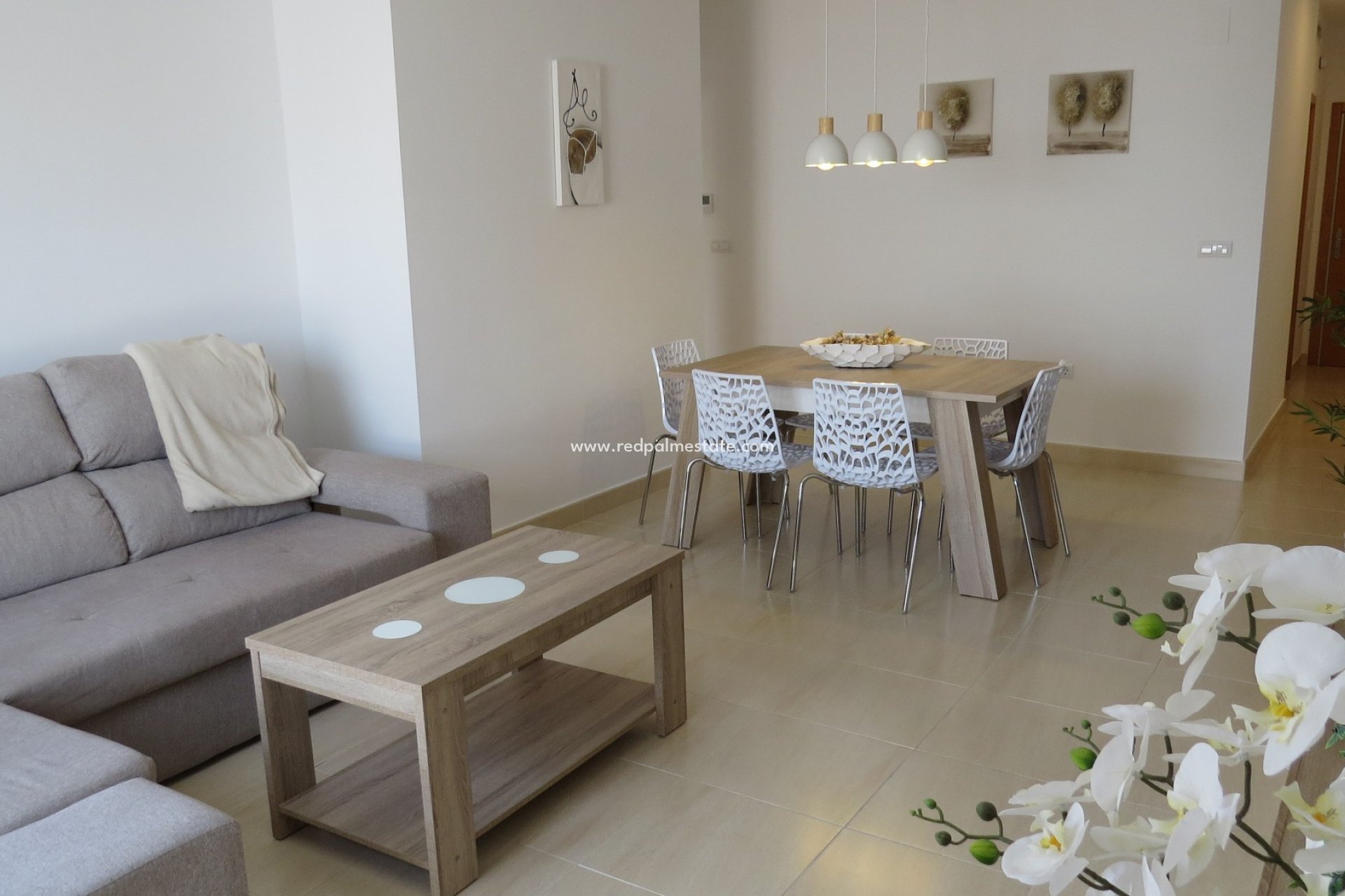Reventa - Apartmentos -
San Miguel de Salinas - San Miguel Salinas