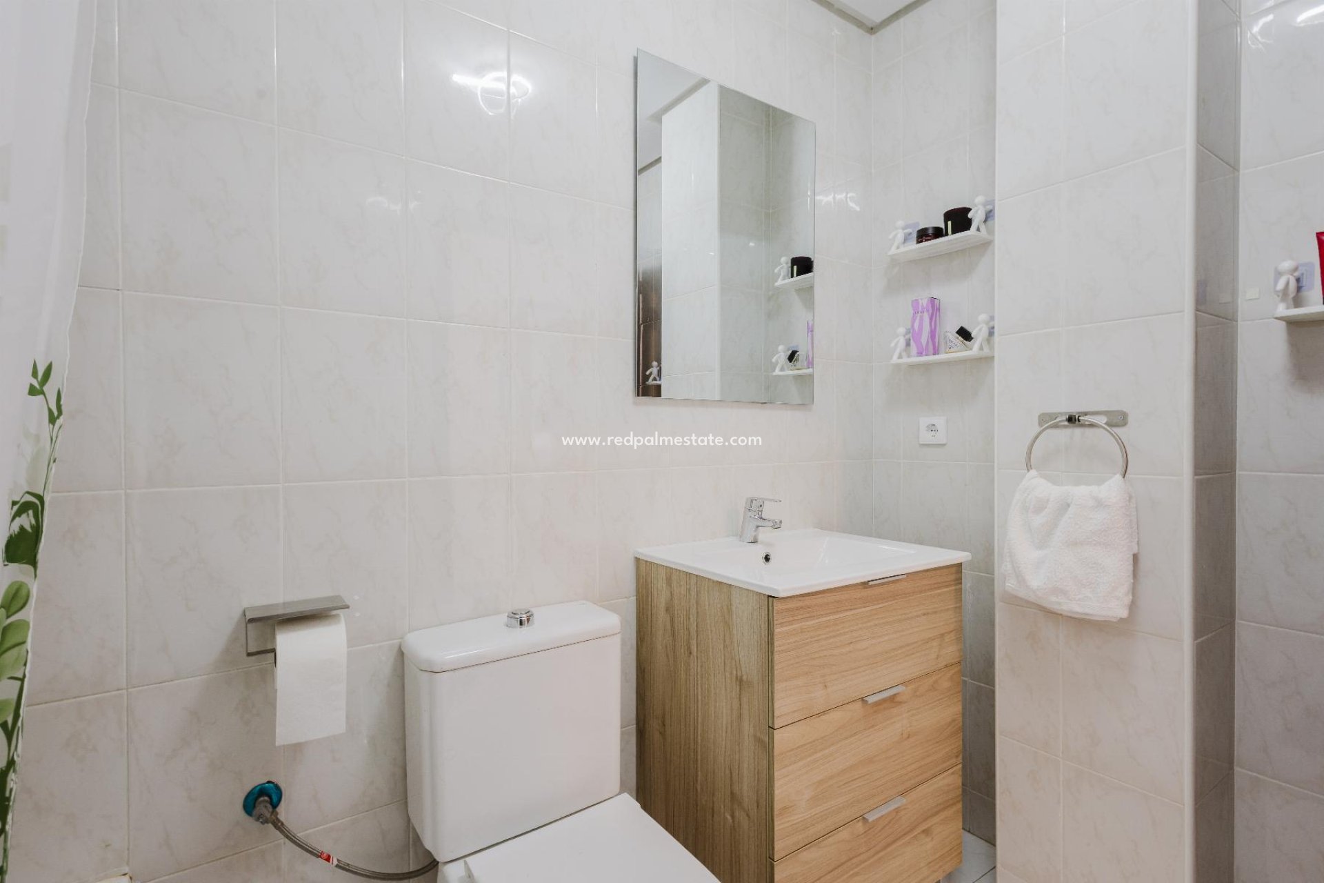 Reventa - Apartmentos -
San Miguel de Salinas - San Miguel Salinas