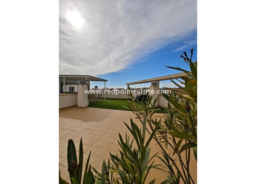 Reventa - Apartmentos -
San Miguel de Salinas - San Miguel Salinas