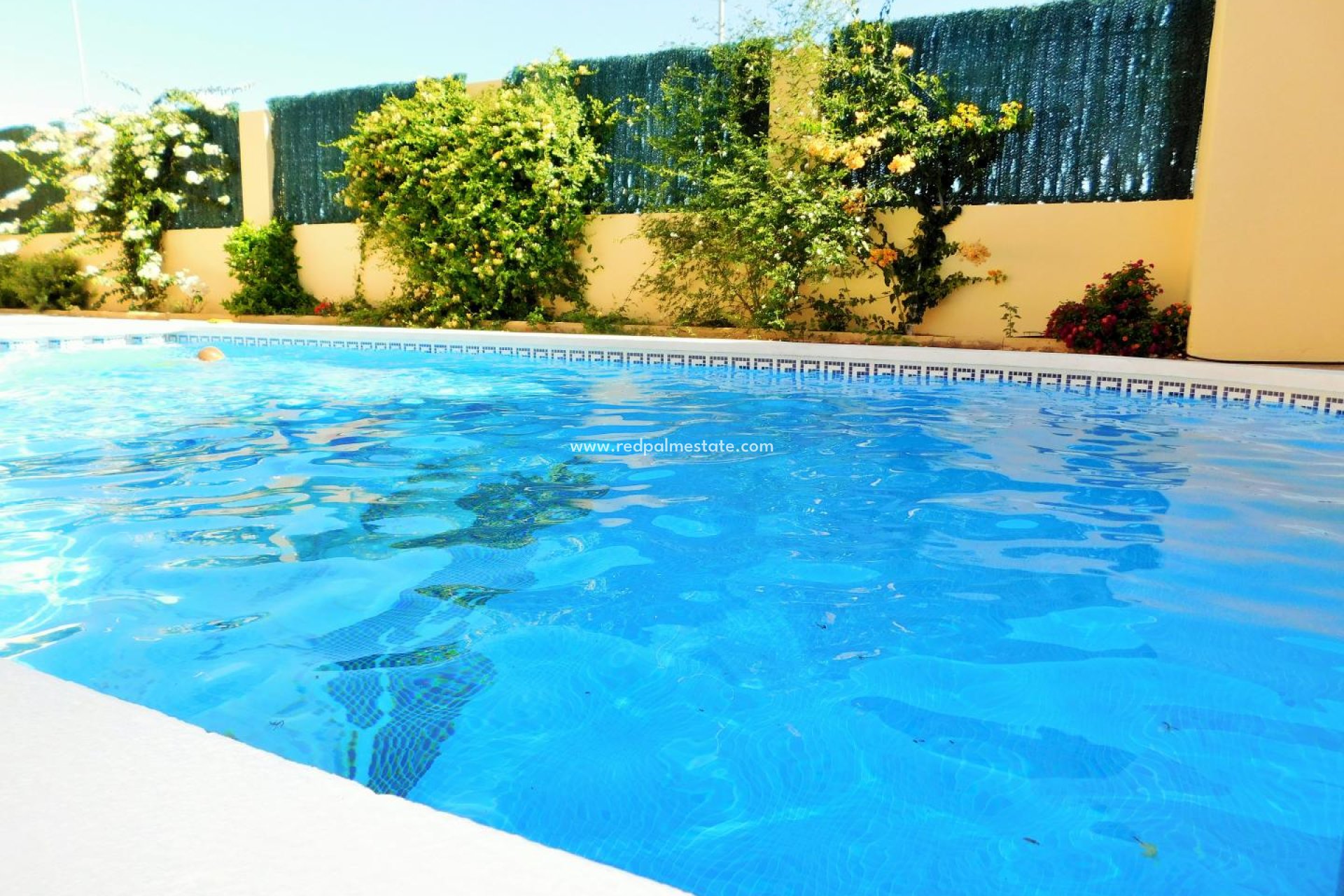 Reventa - Apartmentos -
Torremendo