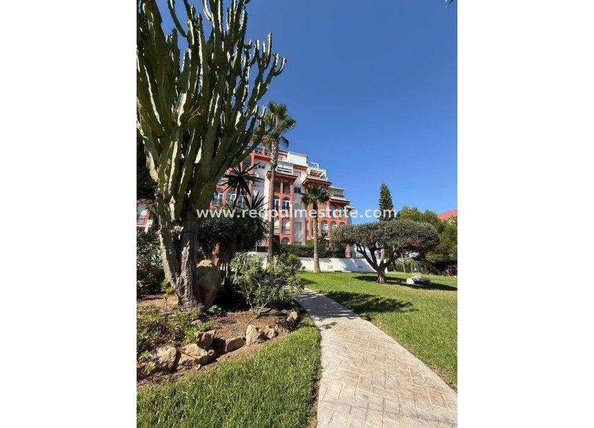 Reventa - Apartmentos -
Torrevieja - Aguas Nueva