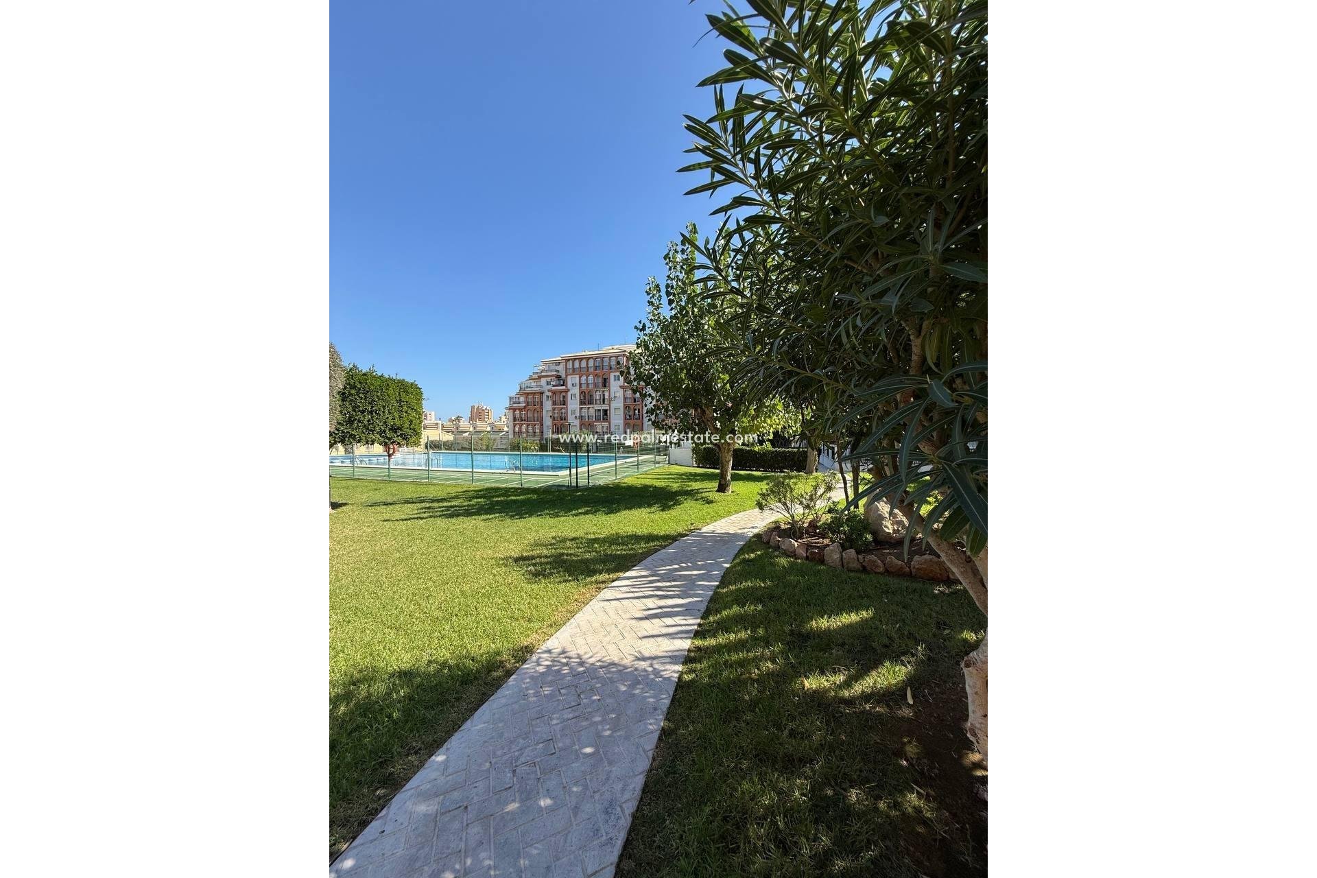 Reventa - Apartmentos -
Torrevieja - Aguas Nueva