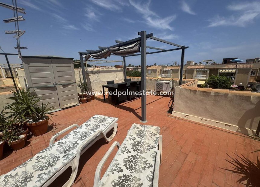 Reventa - Apartmentos -
Torrevieja - Auguas Neuvas