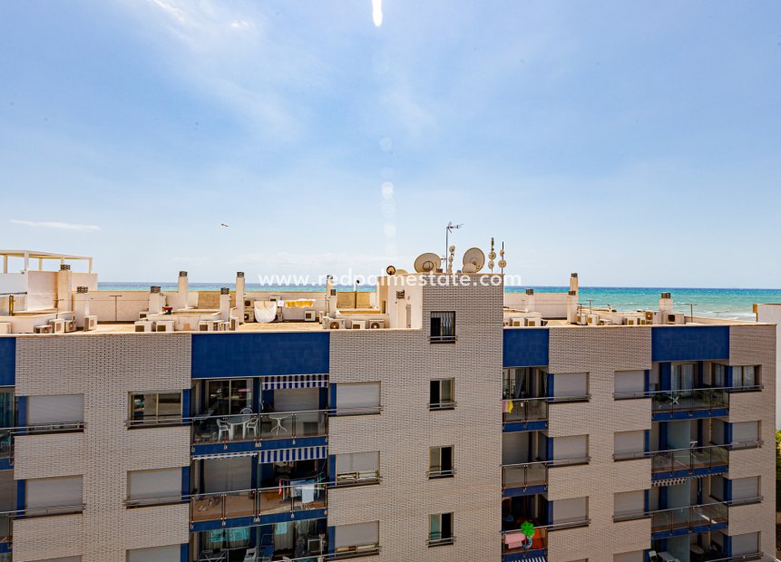 Reventa - Apartmentos -
Torrevieja - Beach