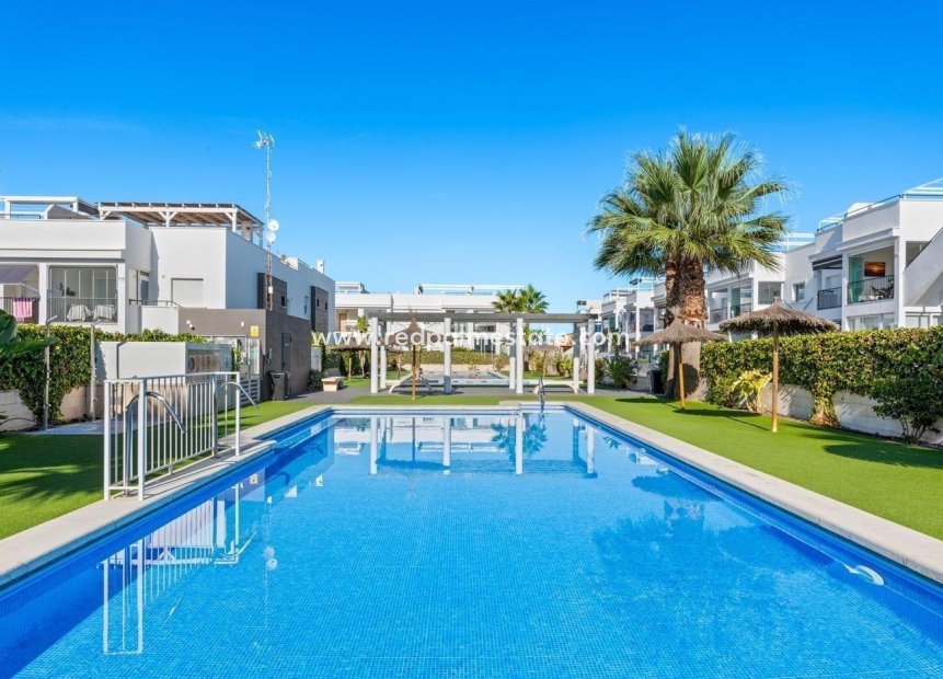 Reventa - Apartmentos -
Torrevieja - Cabo cervera